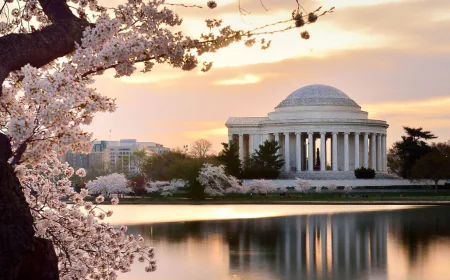 Top 10 Halal Friendly Destinations in USA