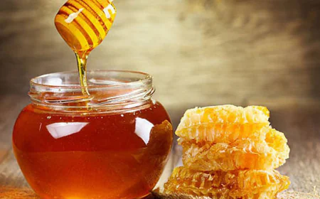 মধু খাওয়ার উপকারিতা | প্রতিদিন মধু খেলে শরীরে কী হয়