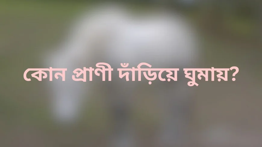কোন প্রাণী দাঁড়িয়ে ঘুমায় – কারণ ও বৈজ্ঞানিক ব্যাখ্যা