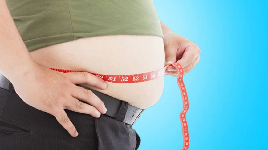 পেটের মেদ কমানোর ঘরোয়া উপায় | দ্রুত ও প্রাকৃতিকভাবে ভুঁড়ি কমানোর গাইড