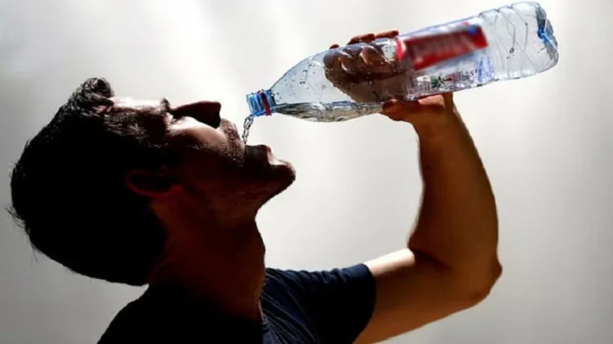 প্রতিদিন কতটুকু পানি খাওয়া প্রয়োজন | সঠিক পানি পানের নিয়ম