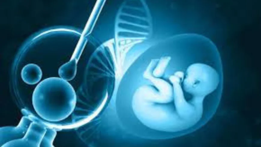 বাংলাদেশে IVF চিকিৎসা ও খরচ ২০২৬ | IVF Treatment Cost & Guide