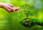 প্রকৃতি নিয়ে ক্যাপশন