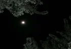 রাত নিয়ে ক্যাপশন