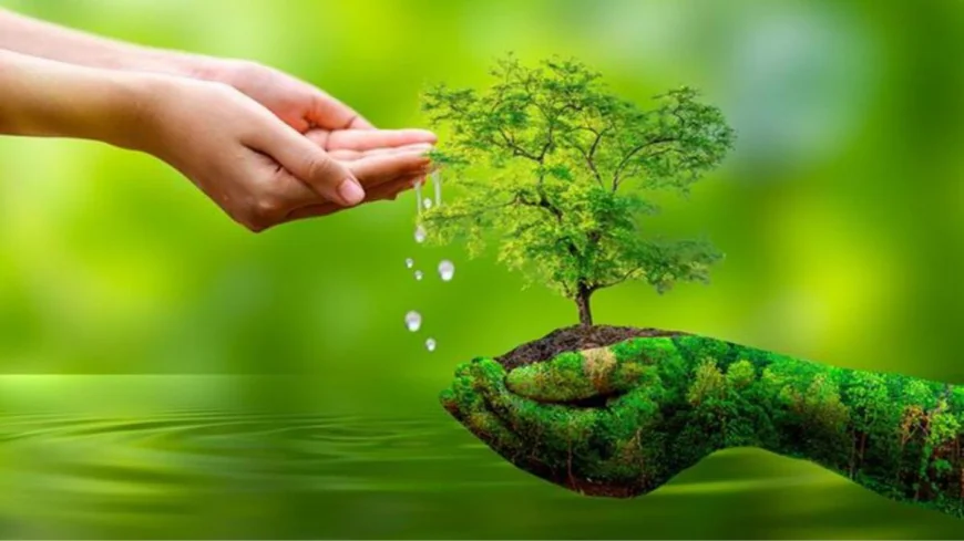 প্রকৃতি নিয়ে ক্যাপশন